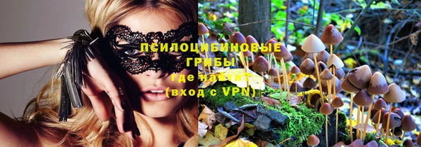 гидра Нязепетровск