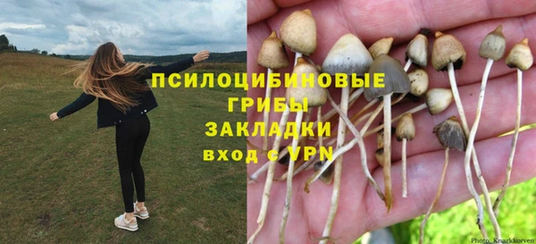 скорость Нягань