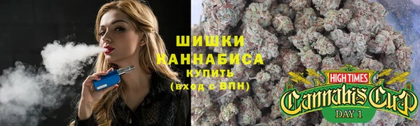 гидра Нязепетровск